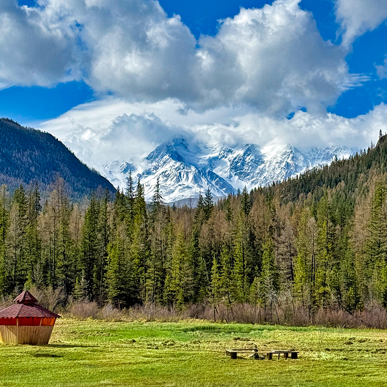 Цветение маральника на Алтае. Майские в сиреневых горах. (41/79)