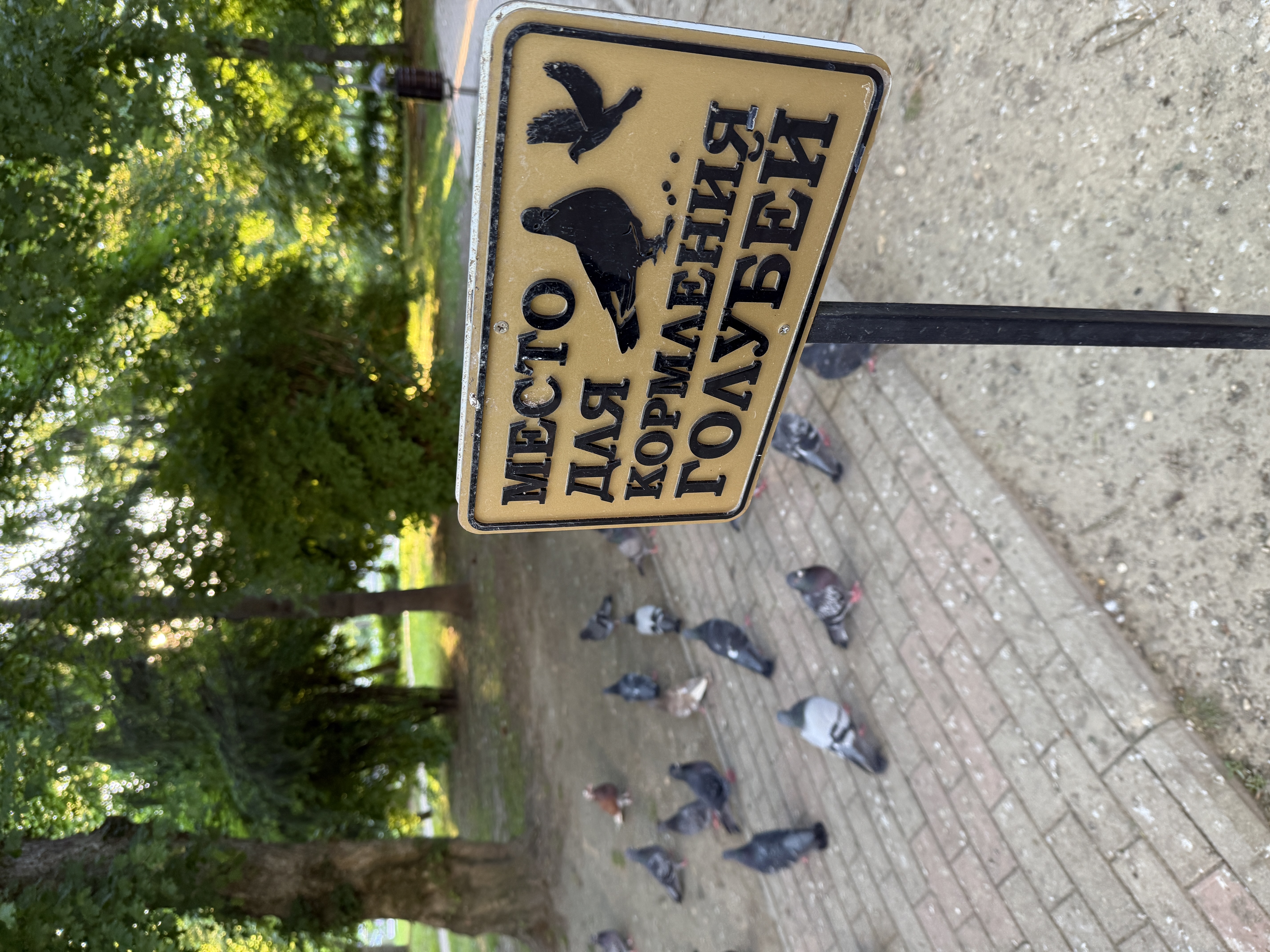 Треккинг в Горячем Ключе (41/76)