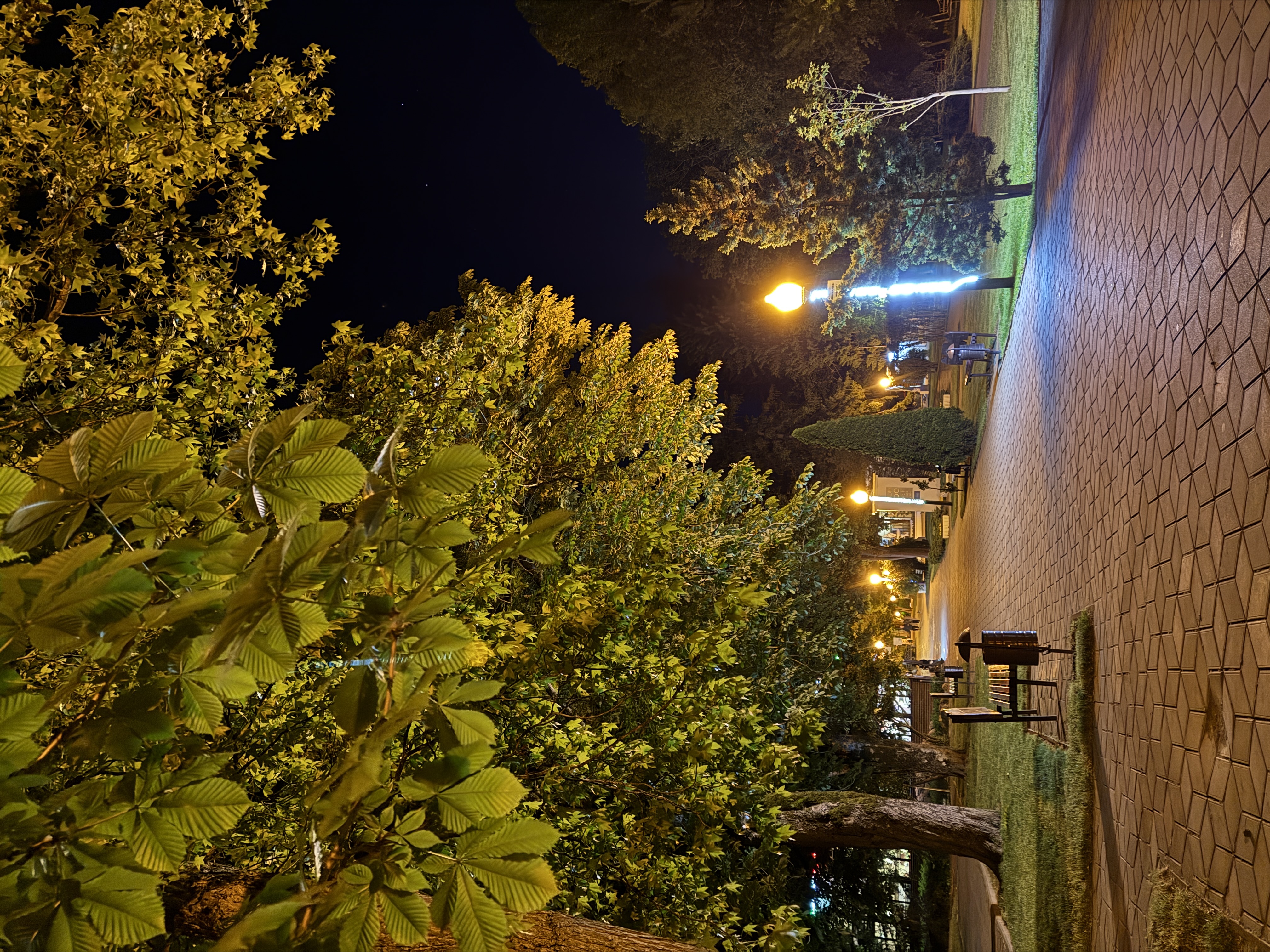 Треккинг в Горячем Ключе (49/76)