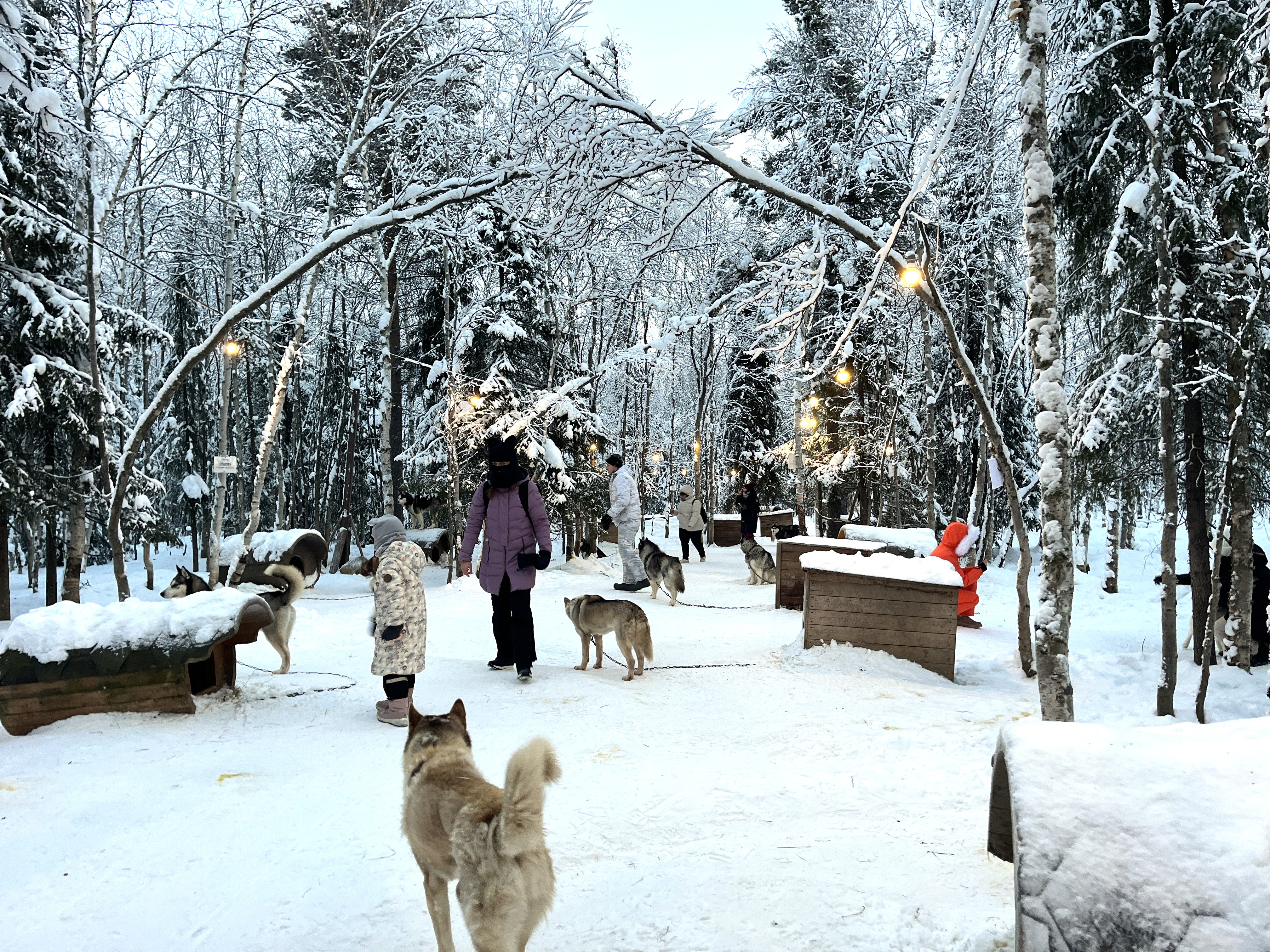 Саамские мотивы. Этнический парк (2/16)