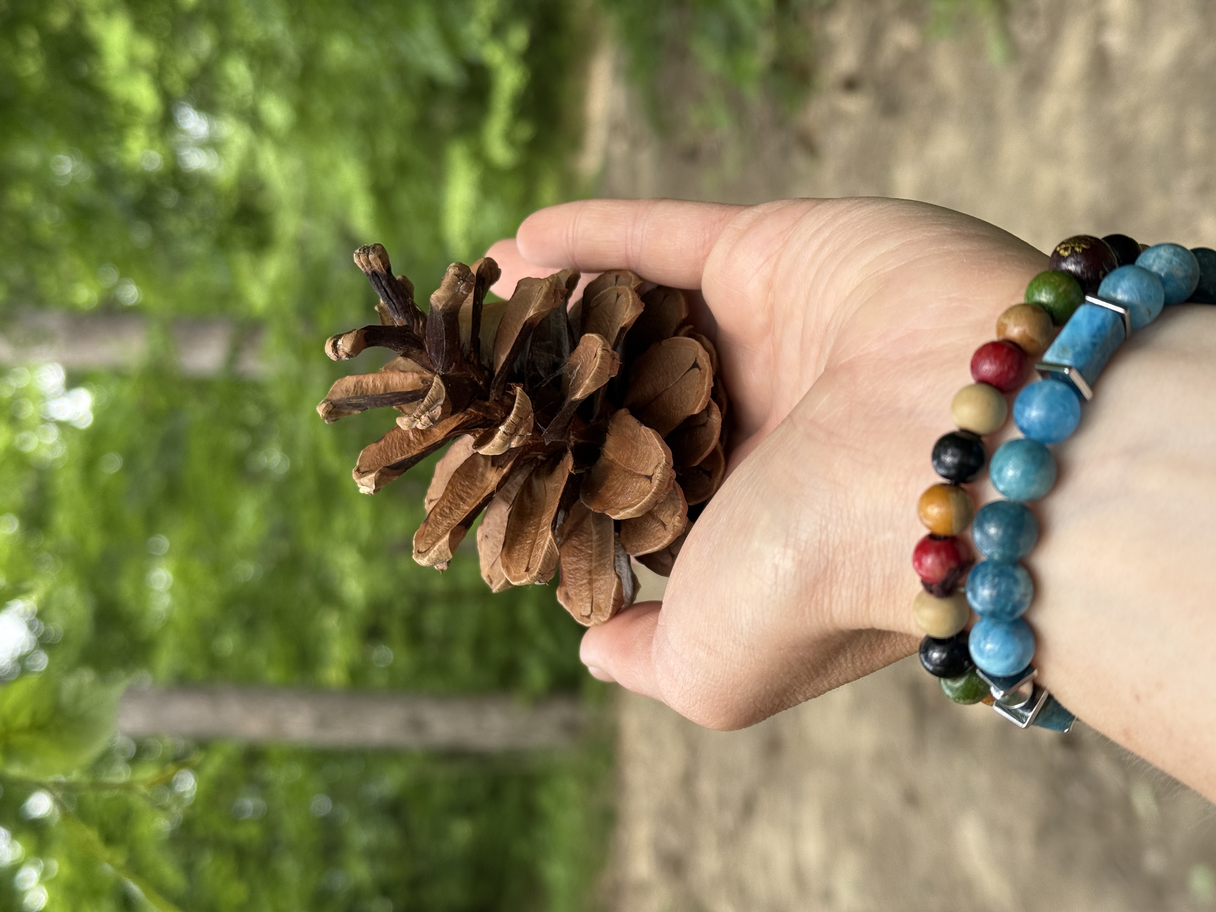 Треккинг в Горячем Ключе (5/76)