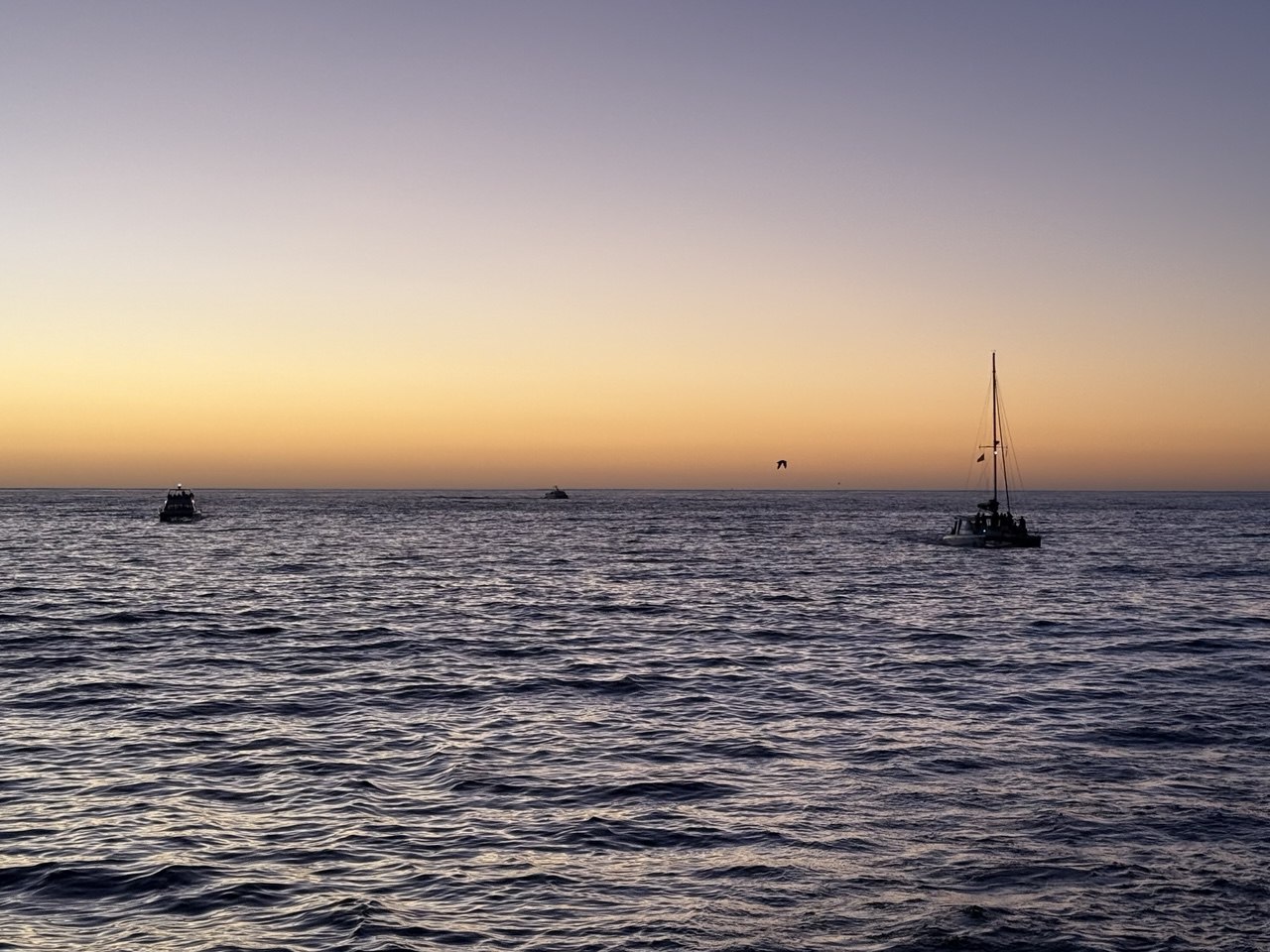 Серфинг, солнце и закат в океане