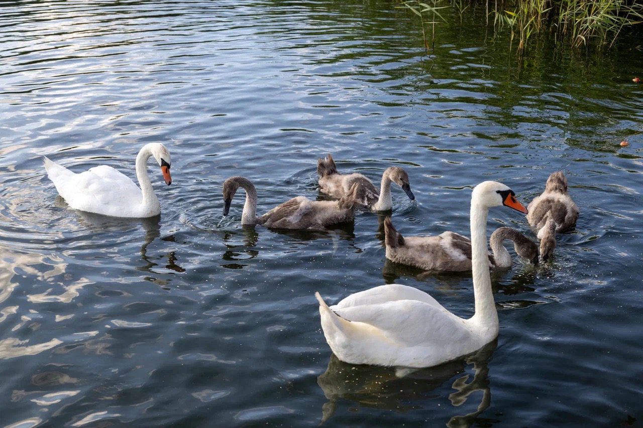Экскурсия в Балтийск и Янтарный (9/10)