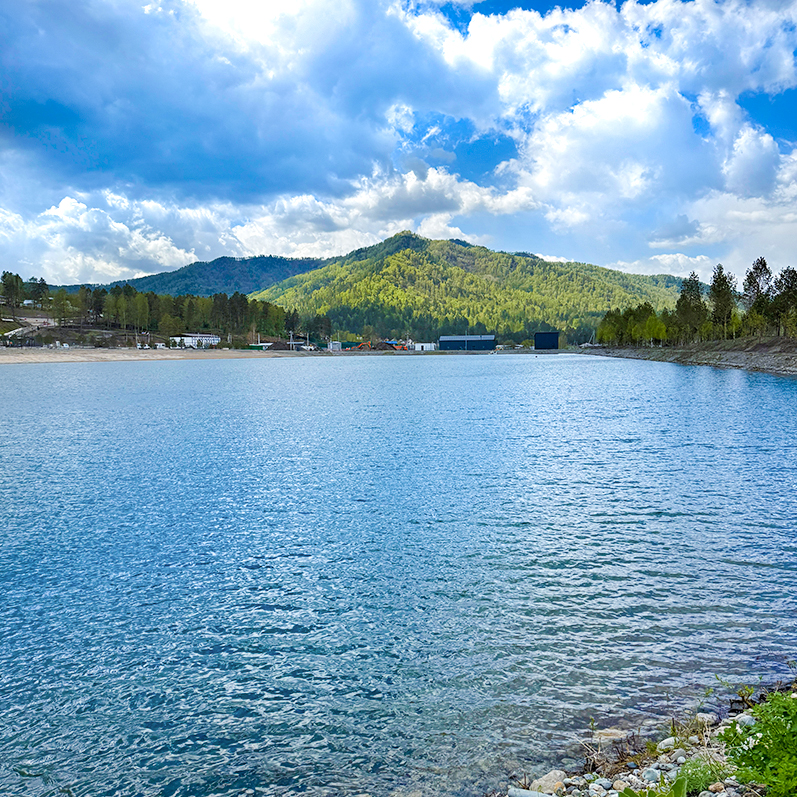Цветение маральника на Алтае. Майские в сиреневых горах. (17/79)