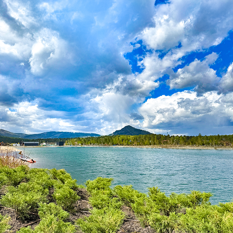 Цветение маральника на Алтае. Майские в сиреневых горах. (16/79)