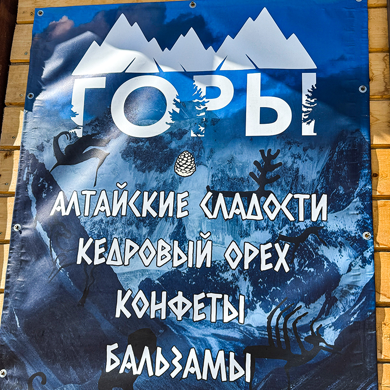 Цветение маральника на Алтае. Майские в сиреневых горах. (7/79)