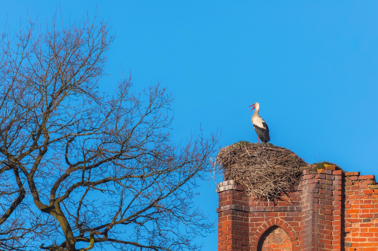 Экскурсия по Шлюзам Мазурского канала и в Железнодорожный (10/10)