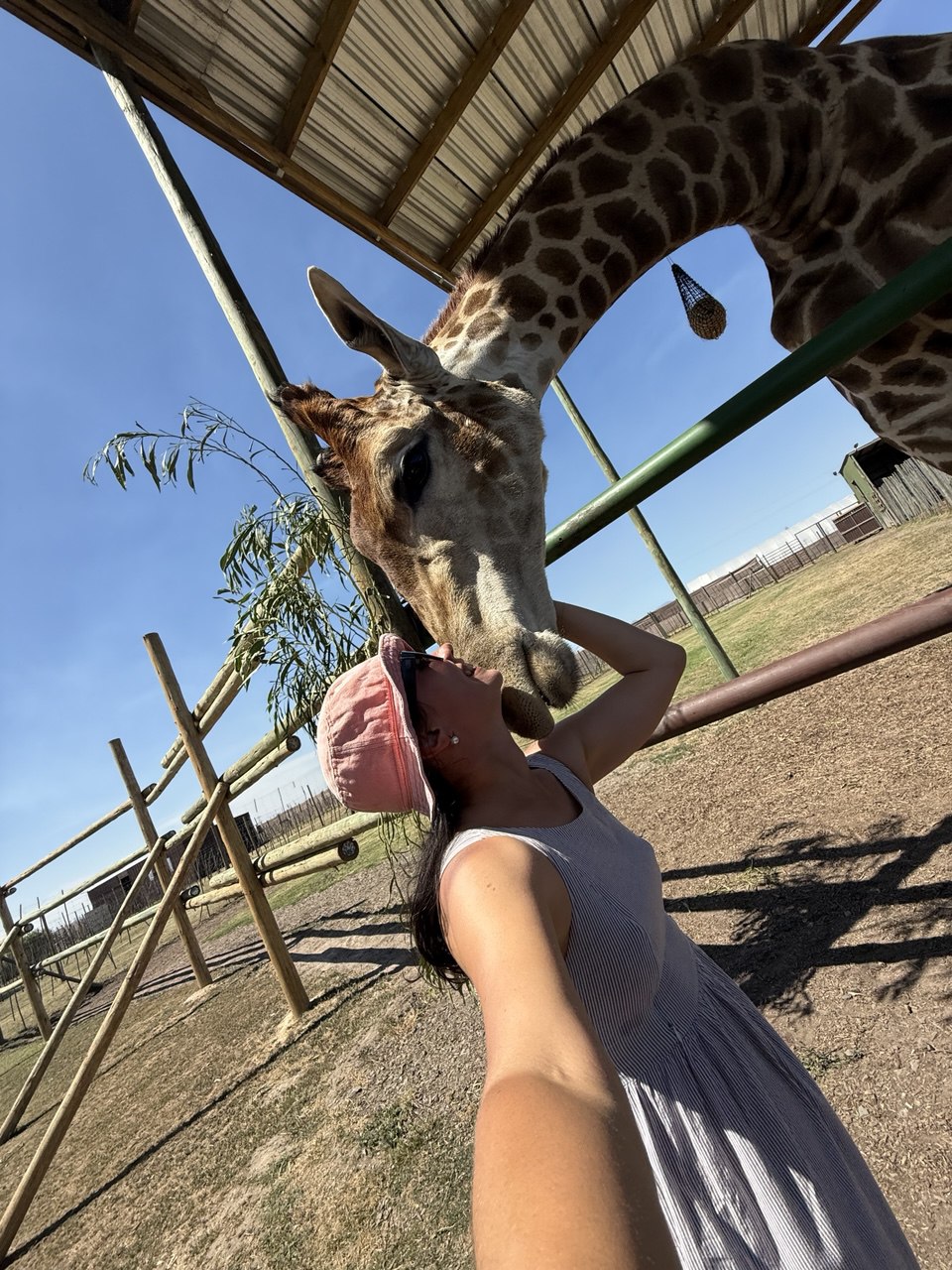 Кейптаун без расписания: прогулки и воспоминания