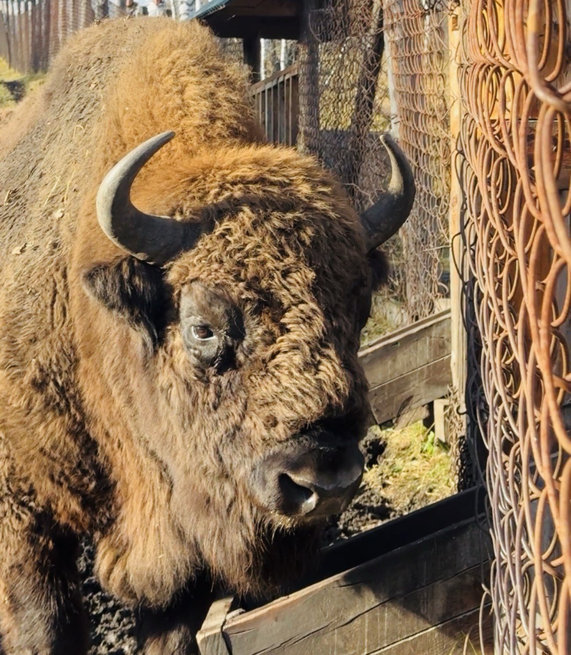 Женский ретрит-тур Энергия Уймонской долины (12/22)