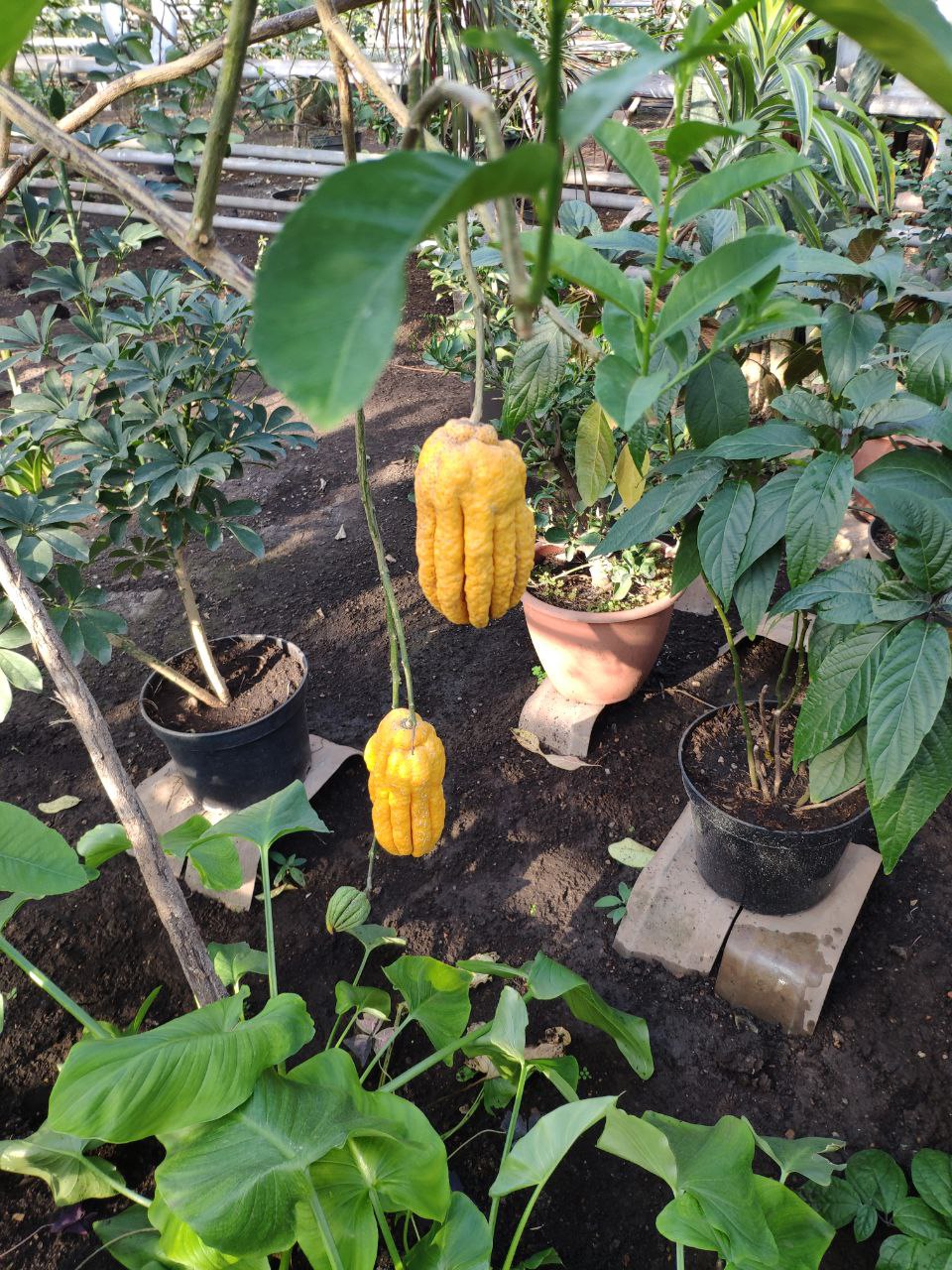 Известная и неизвестная Уфа (11/12)