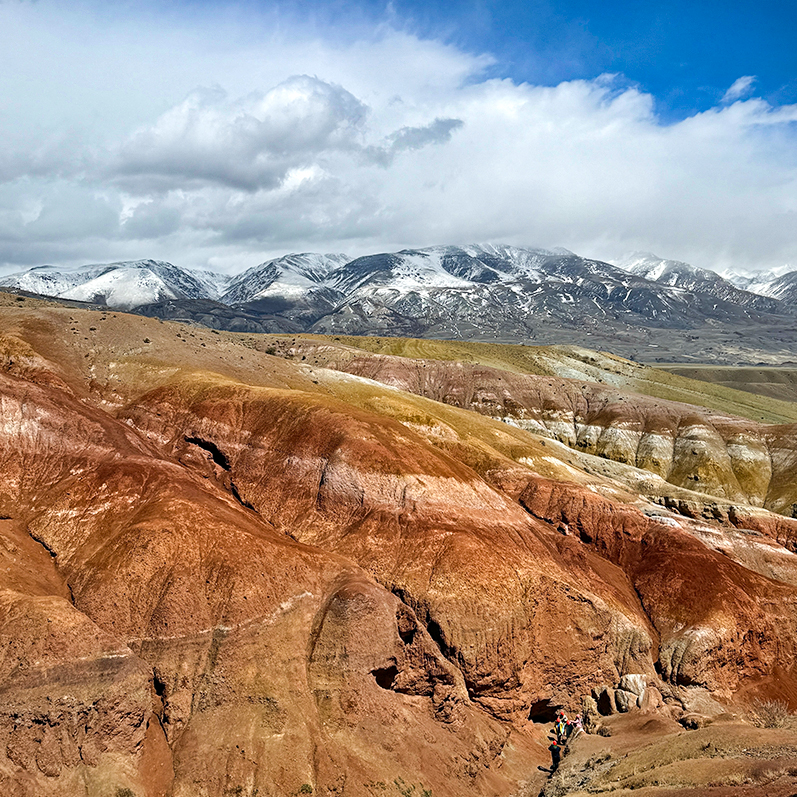 Цветение маральника на Алтае. Майские в сиреневых горах. (32/79)