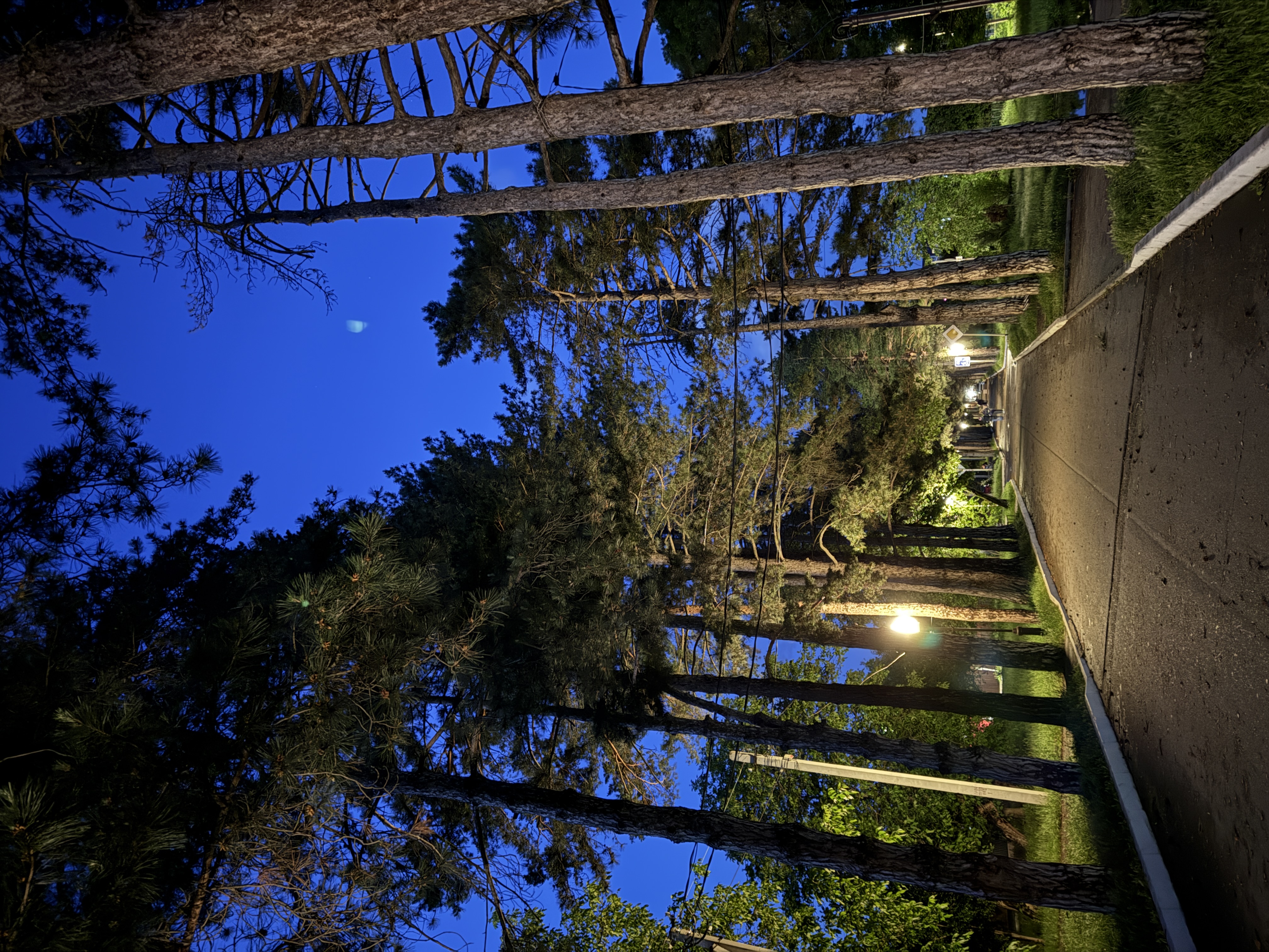 Треккинг в Горячем Ключе (48/76)