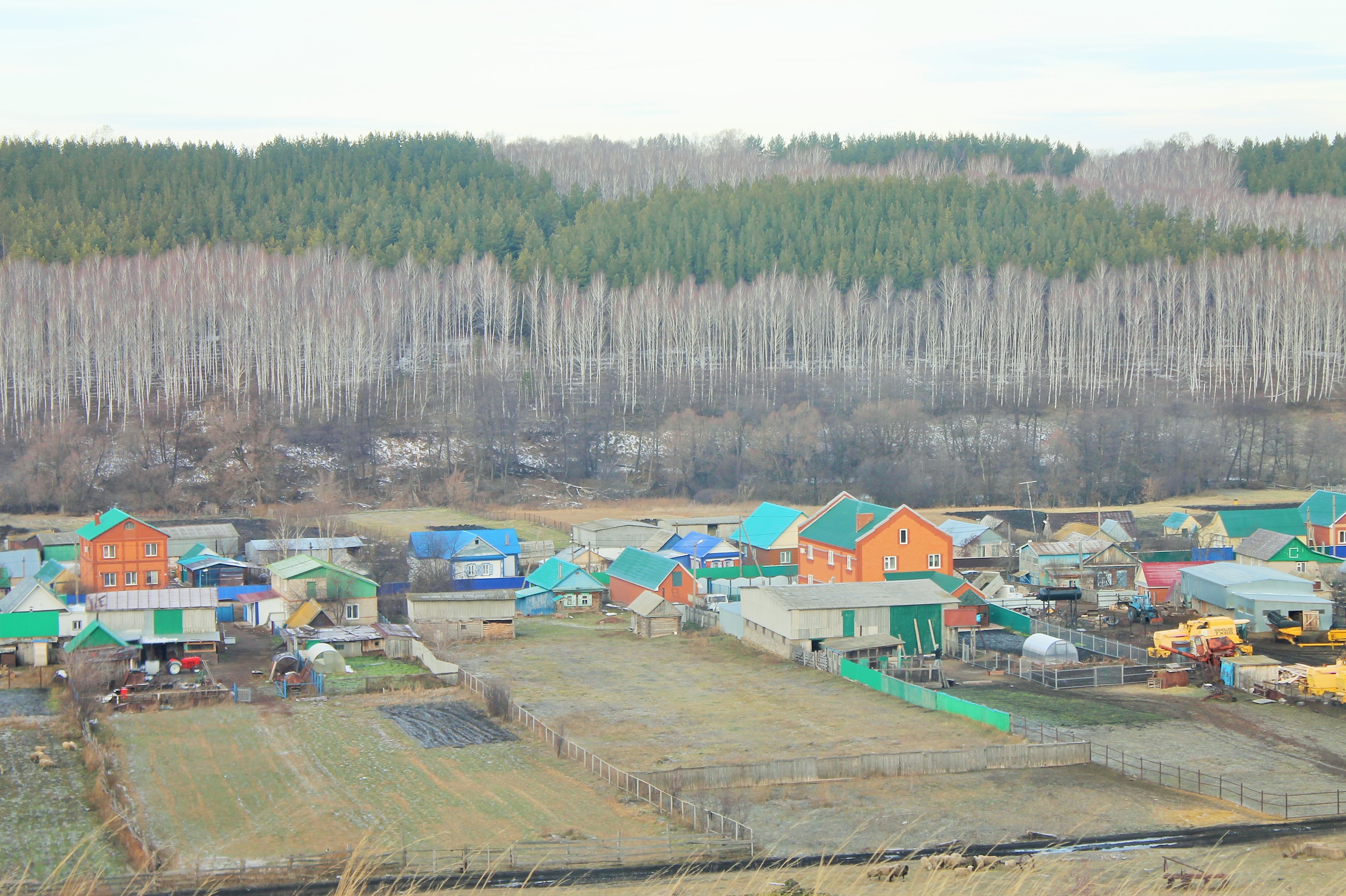 Из Уфы - в гости к бабушке (10/12)