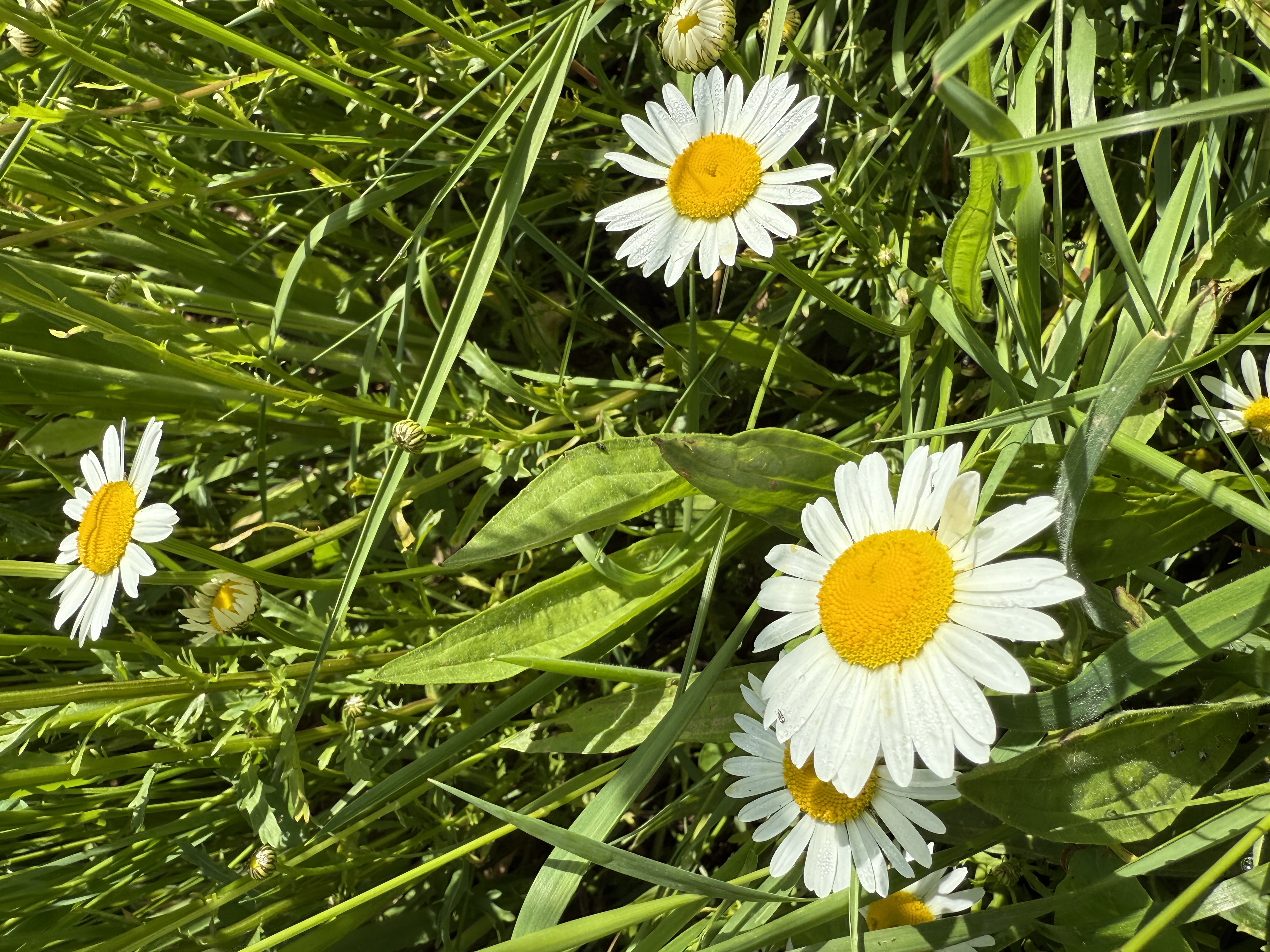 Треккинг в Горячем Ключе (43/76)