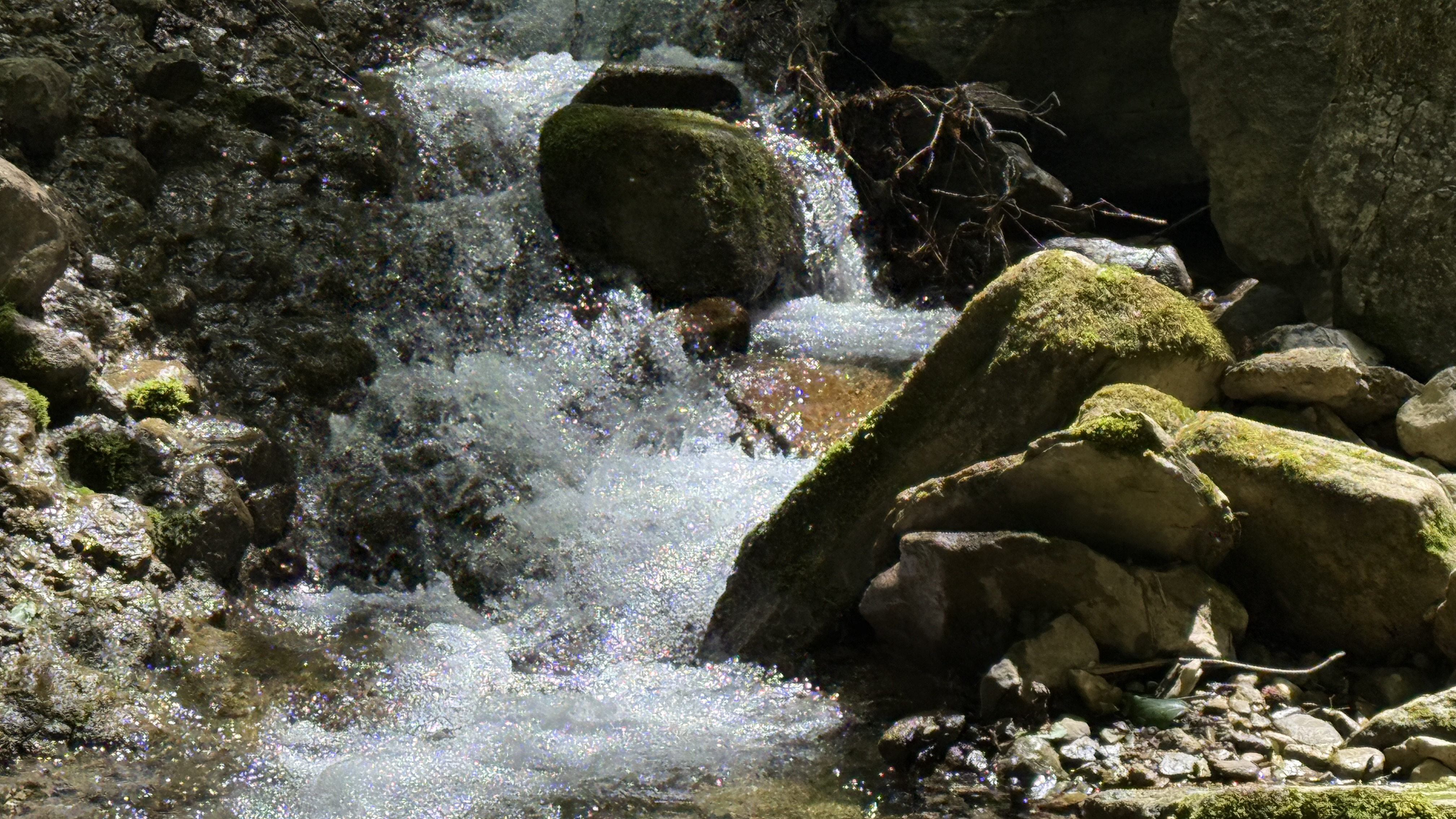 Треккинг в Горячем Ключе (45/76)