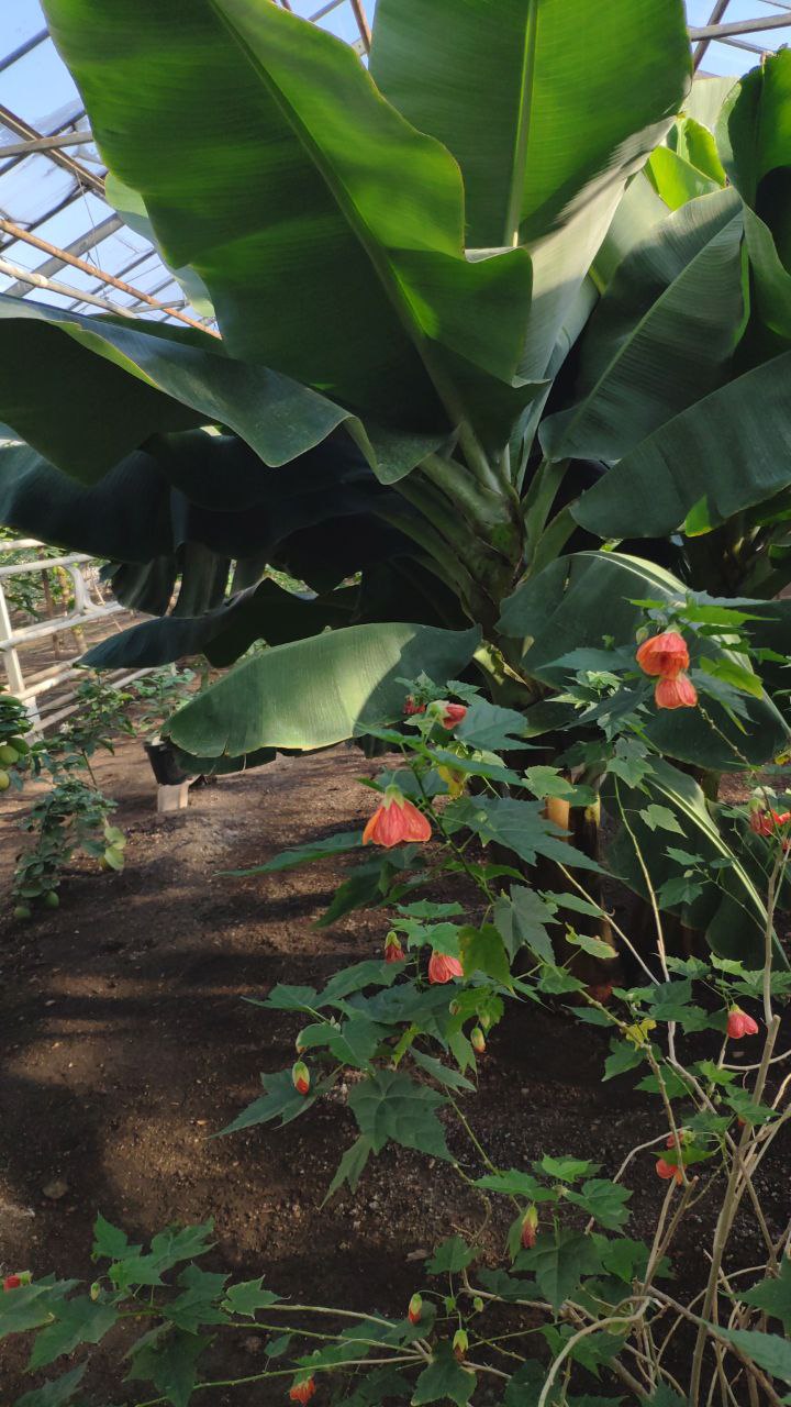 Известная и неизвестная Уфа (12/12)