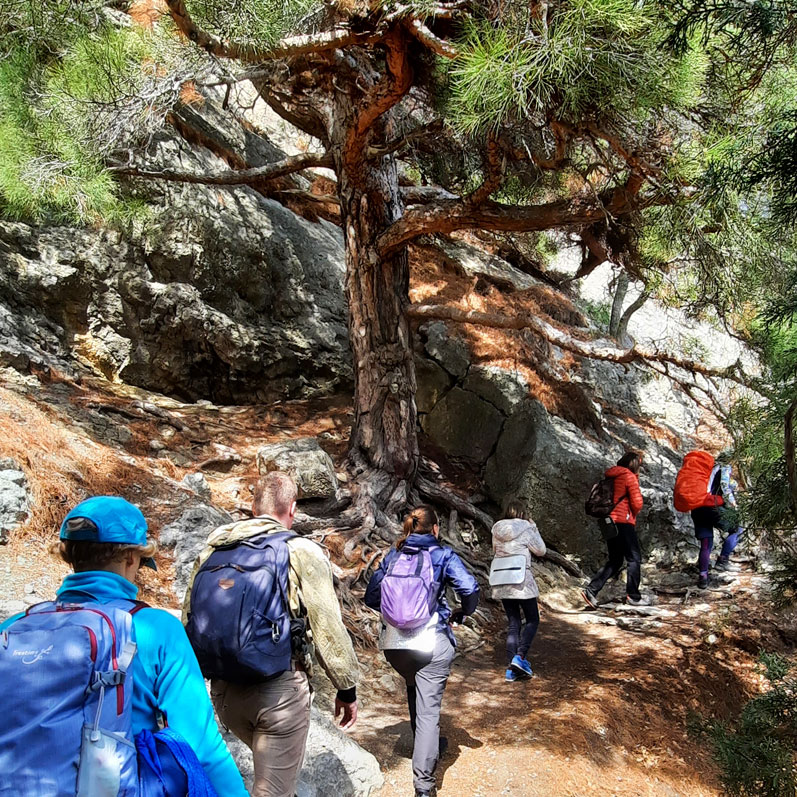 Активный тур в Крым. Горные просторы Судака (31/85)