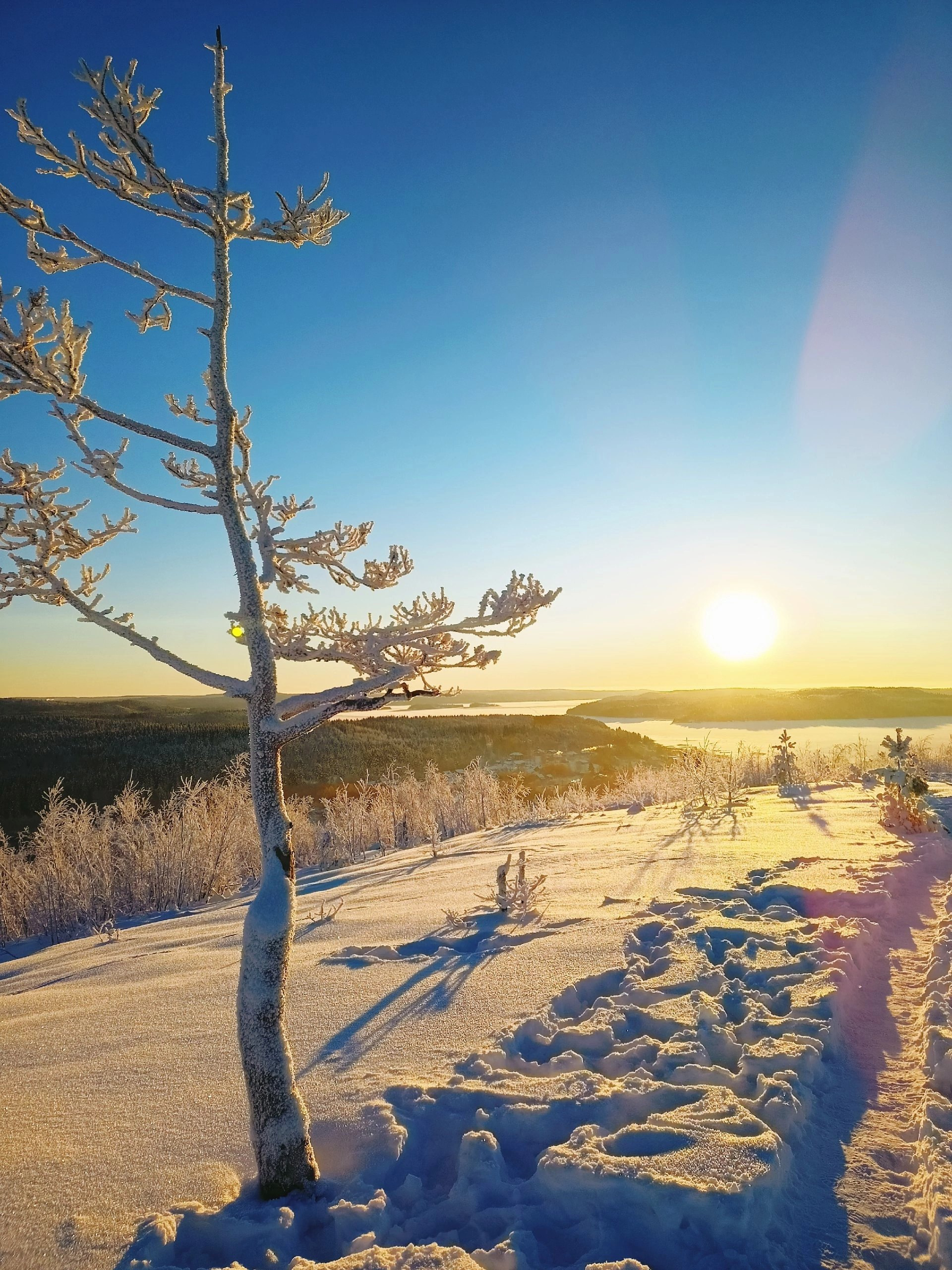Леса и снегоступы, аэролодка и Ладожские шхеры