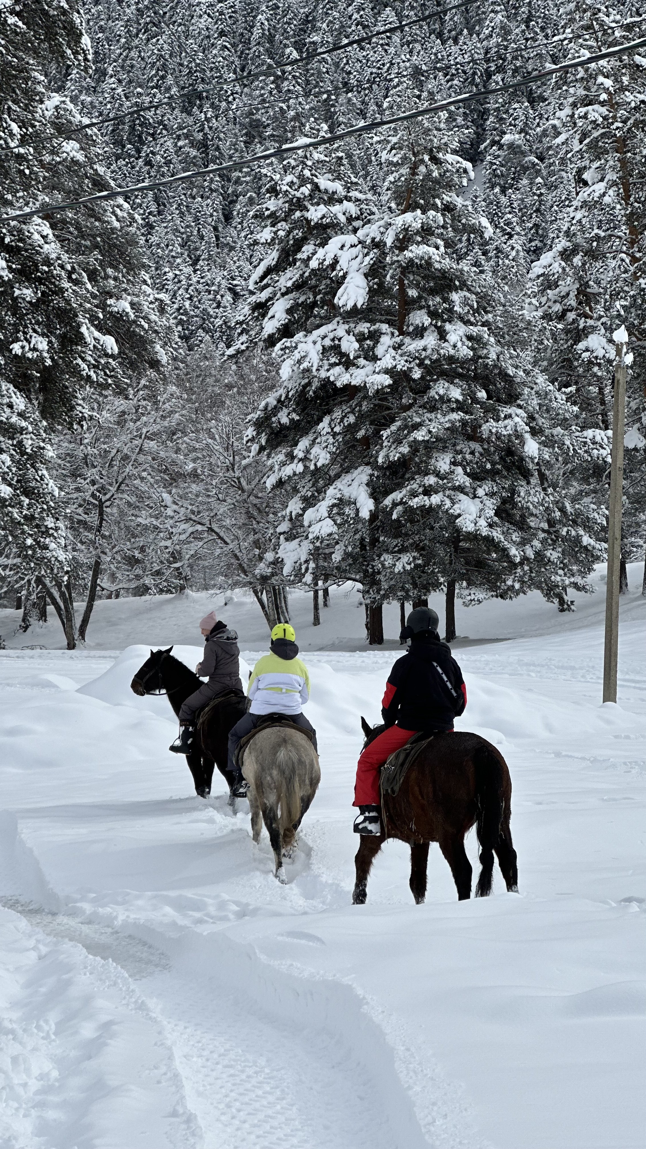 Конный тур в мини-группе Зимний Архыз (25/36)