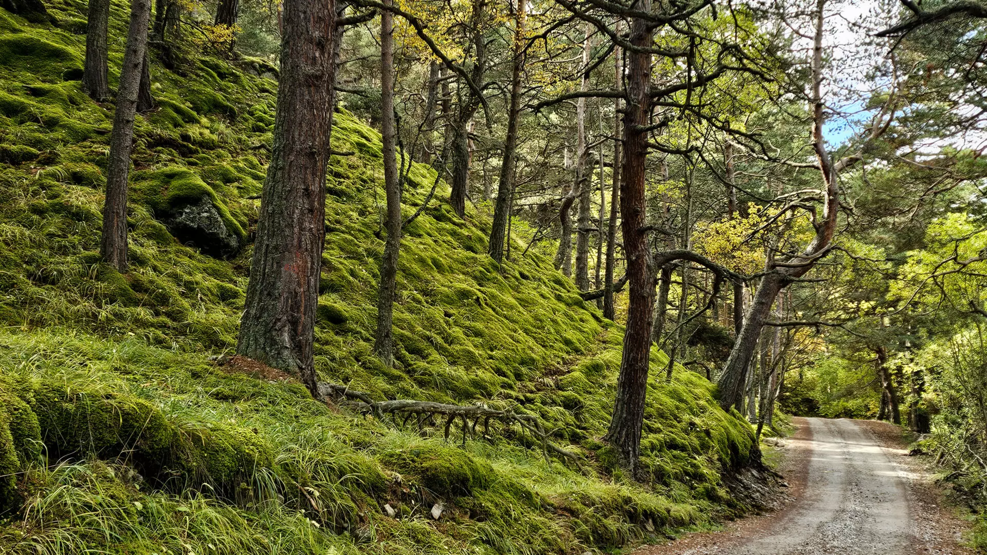 Краски Приэльбрусья (3/28)