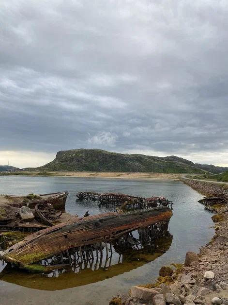 В погоне за китами (12/36)