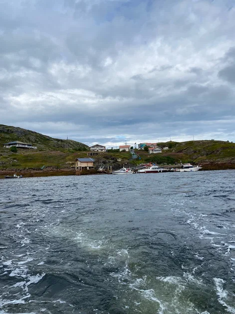 В погоне за китами (13/36)