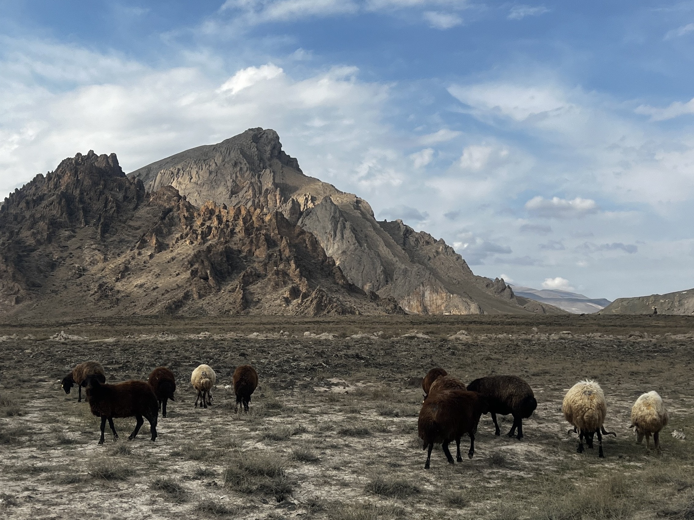 Восхождение на Арарат: идеальный маршрут для твоего первого горного опыта (20/41)