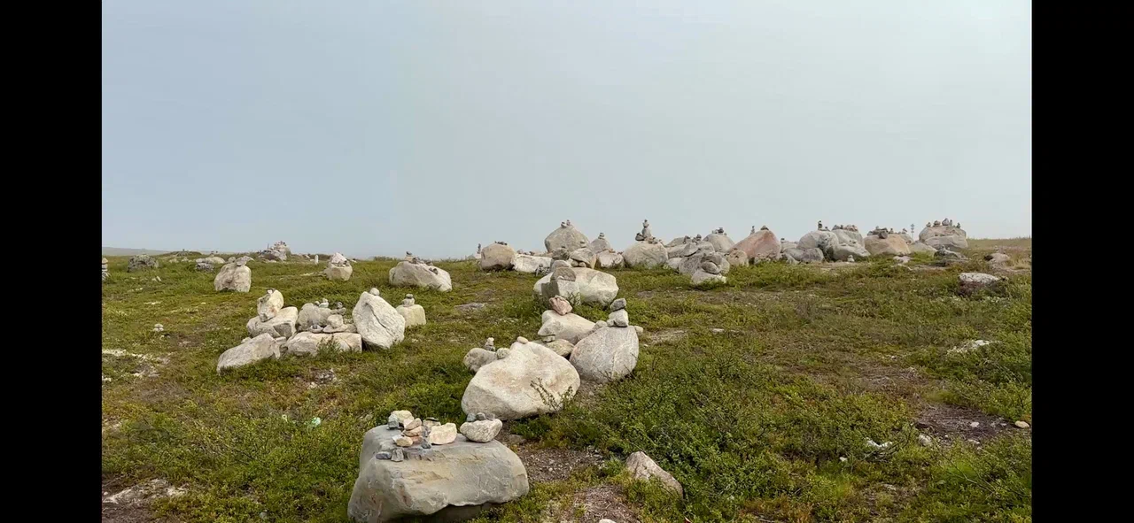 В погоне за китами (9/36)