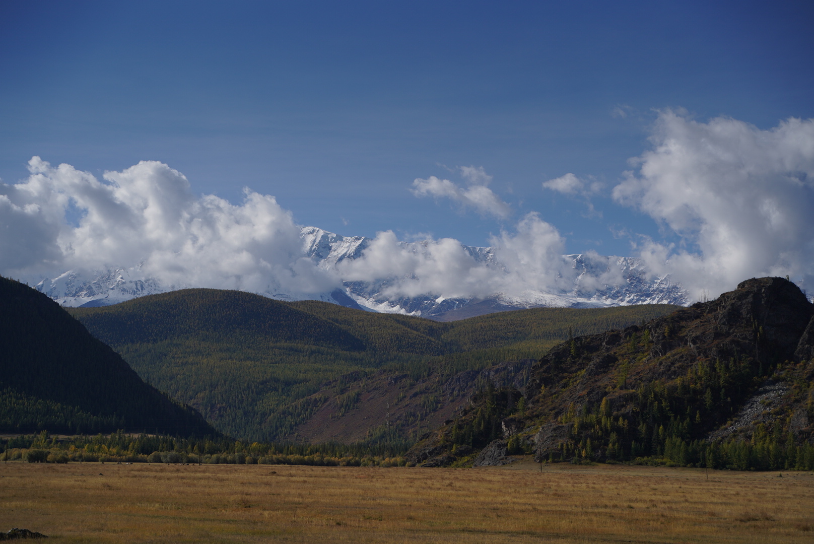 Женский ретрит-тур Энергия Уймонской долины (11/22)
