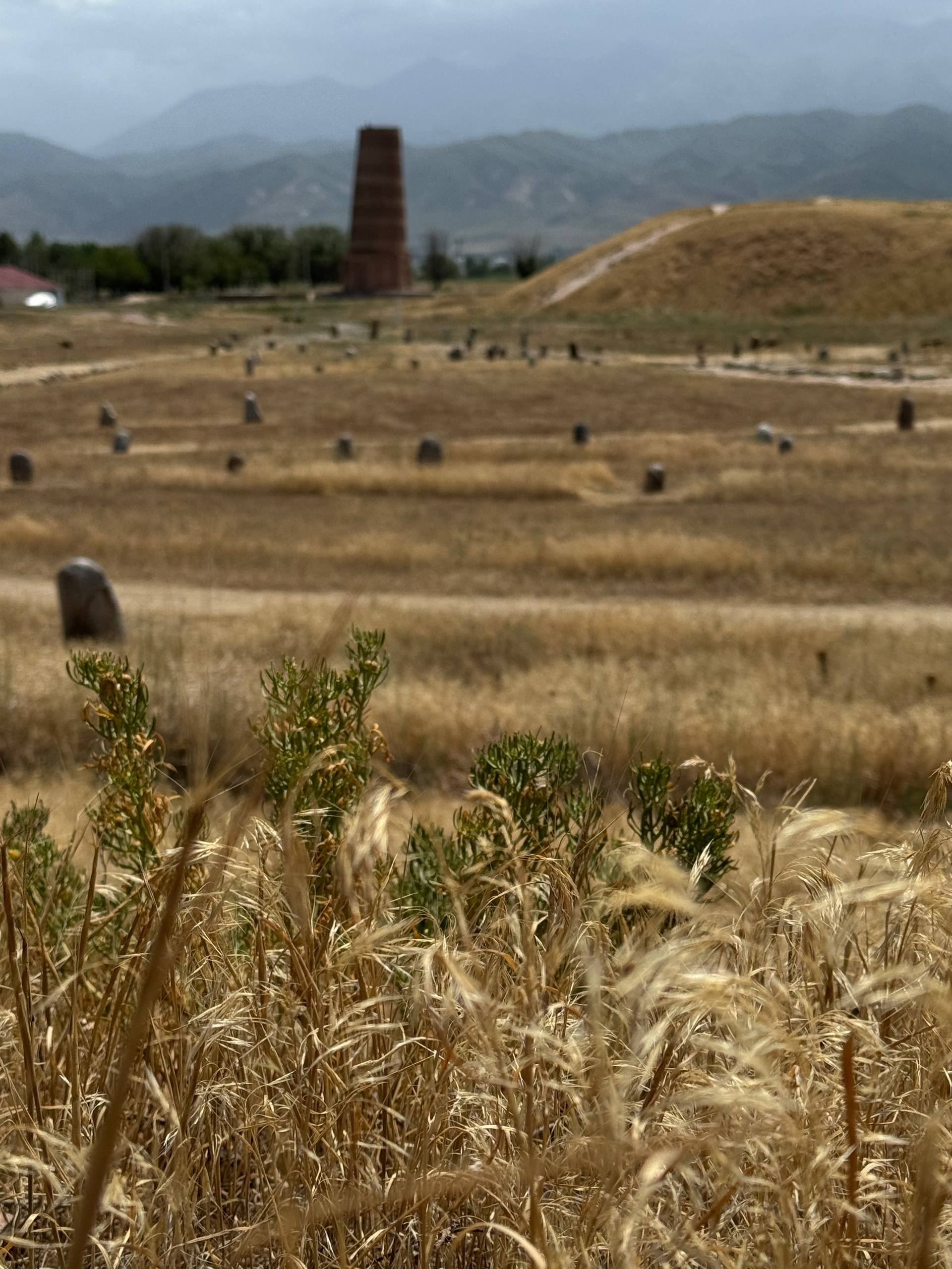 Первозданный Кыргызстан. Топ-10 мест. Все включено. (64/125)