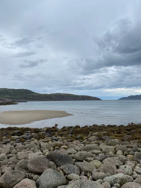 В погоне за китами (6/36)