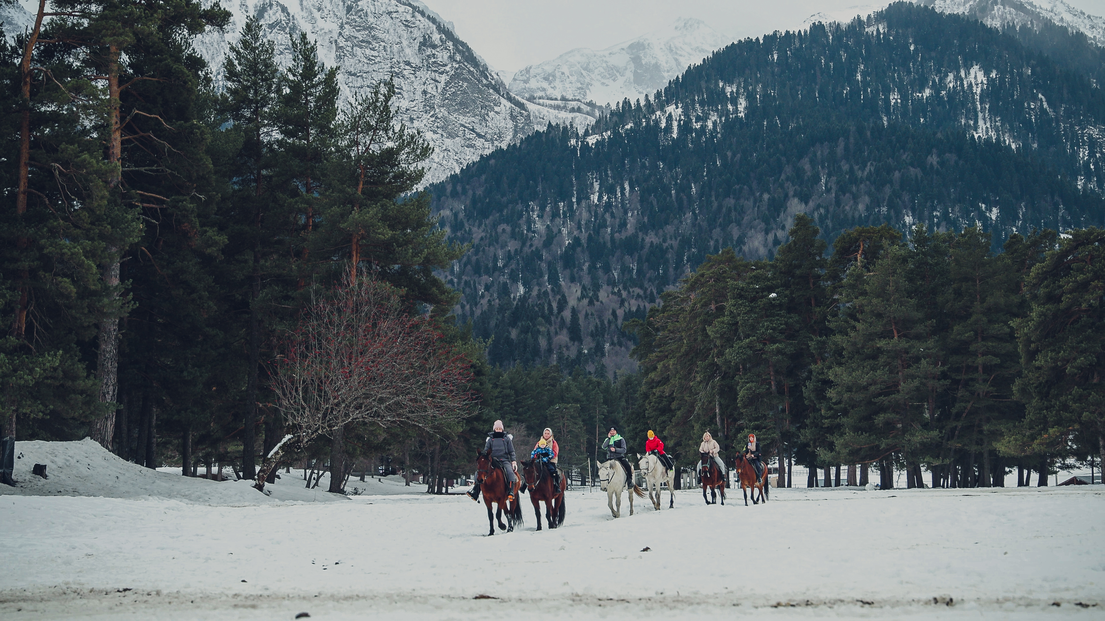 Конный тур в мини-группе Зимний Архыз (1/36)