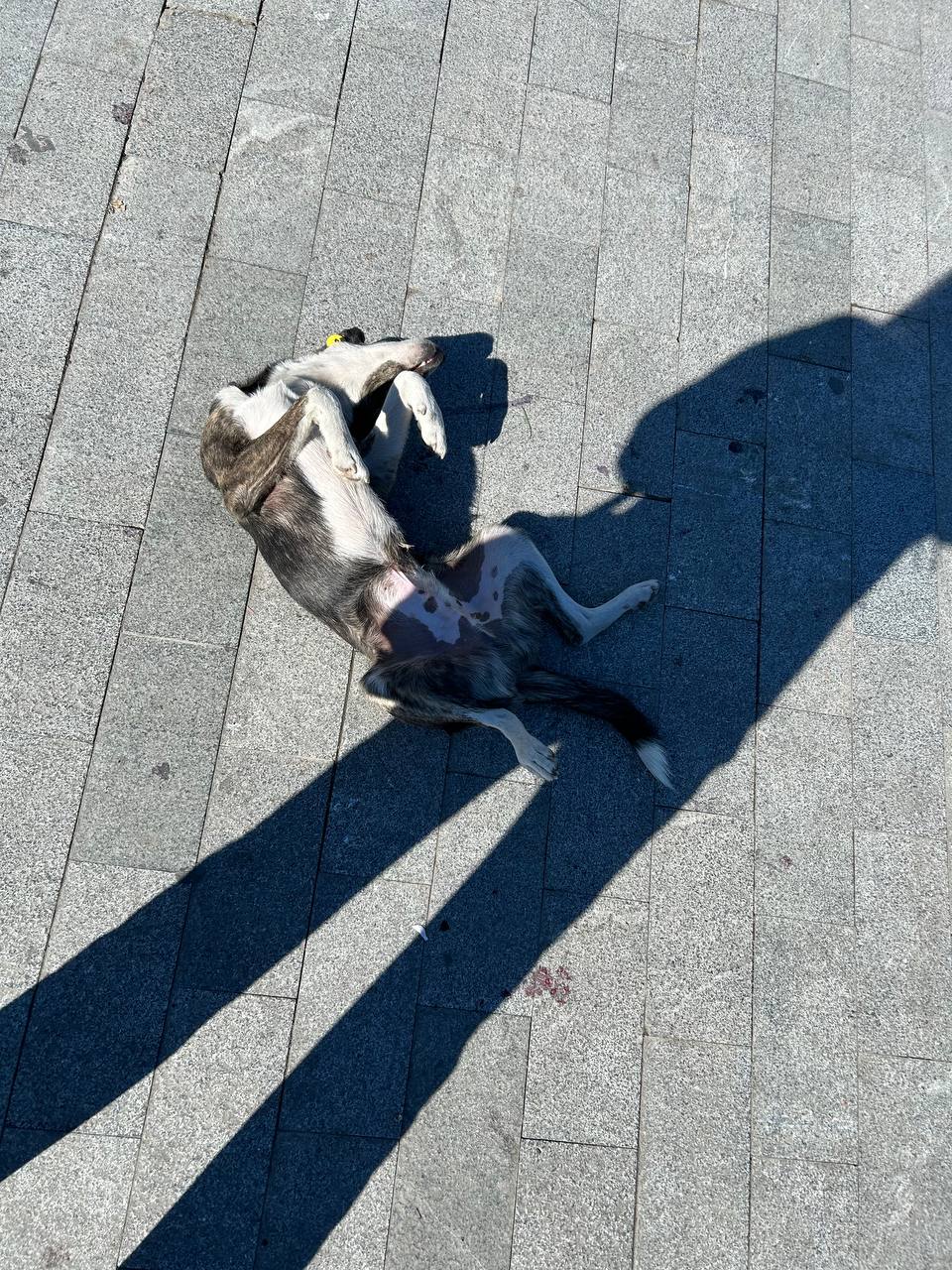 Устроить гастротур, увидеть Топ локации Грузии и перезагрузиться! (5/25)