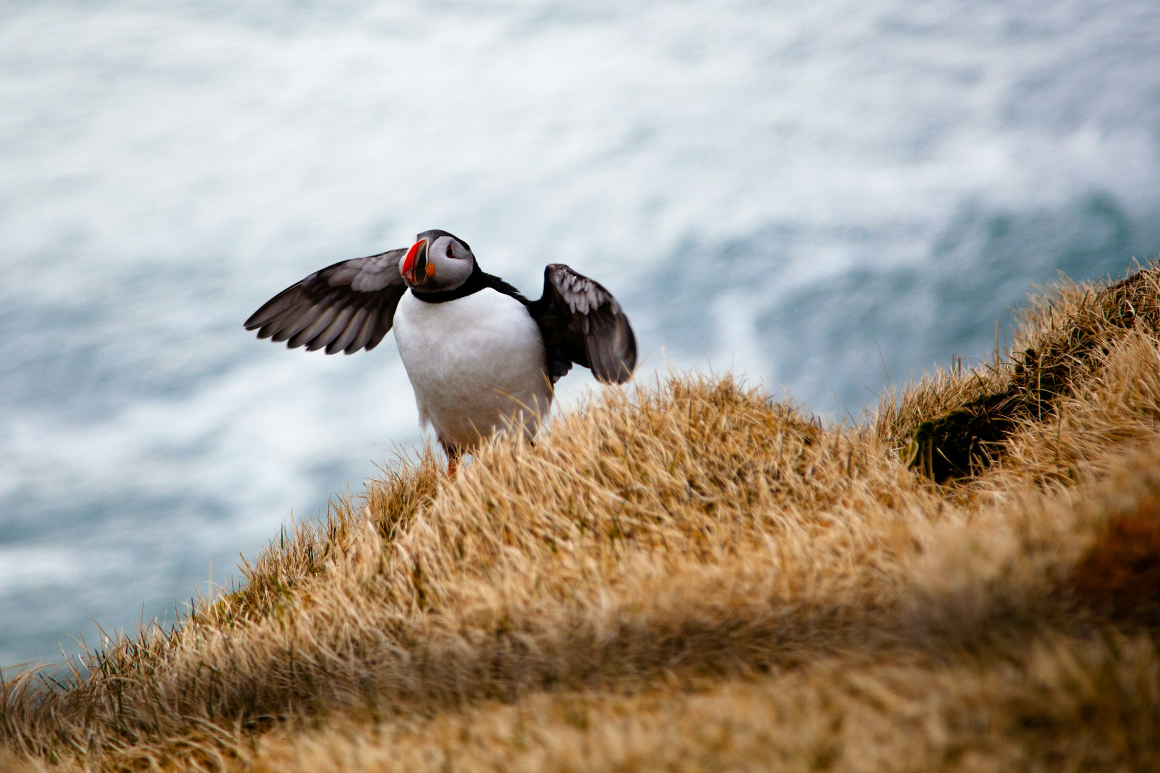 Исландия: режиссерская версия (3/31)