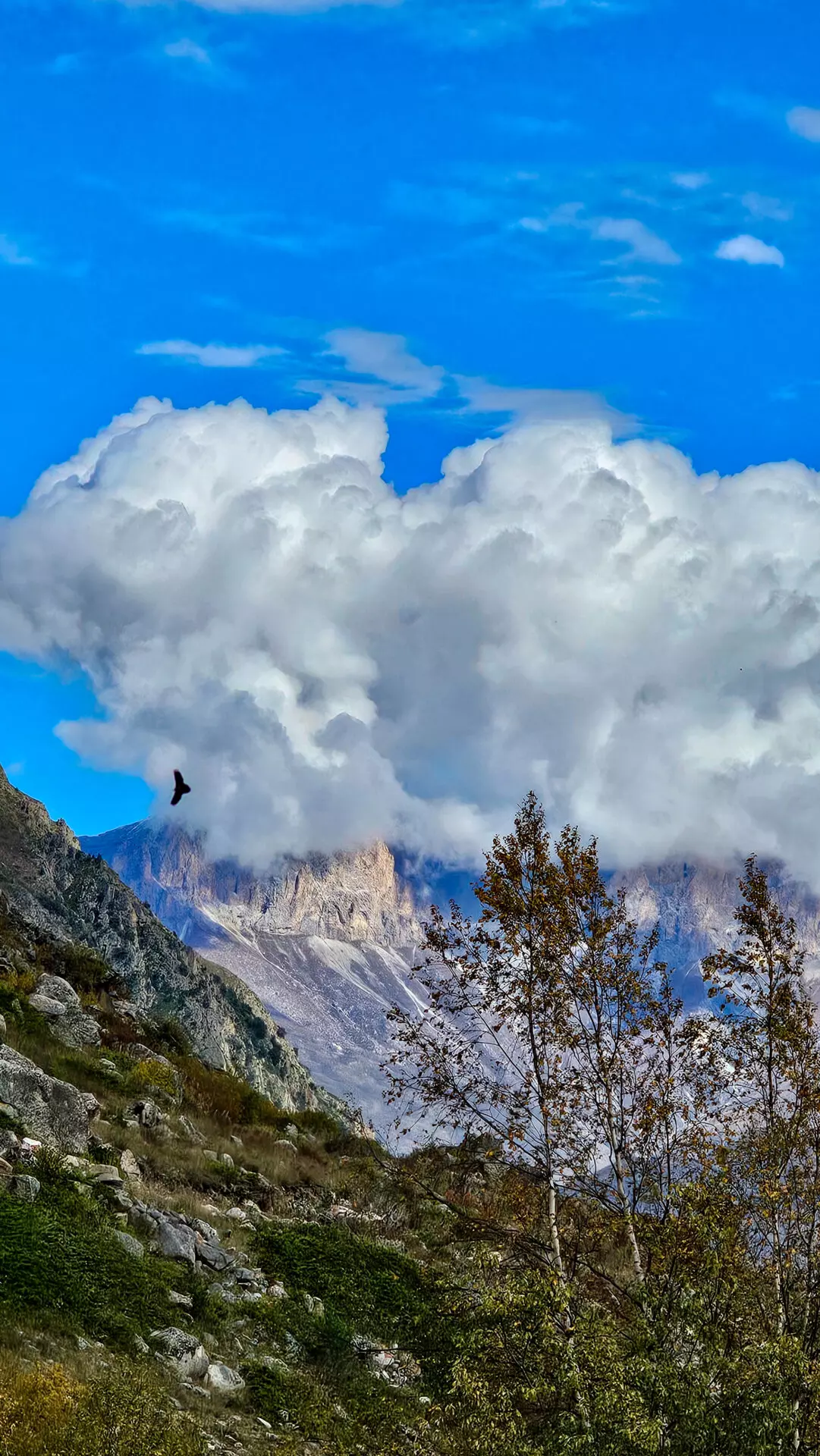 Краски Приэльбрусья (15/28)