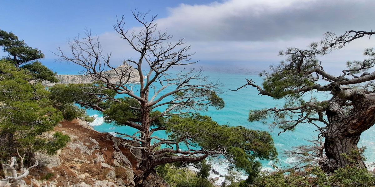 Активный тур в Крым. Горные просторы Судака (37/85)