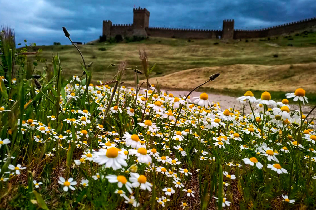 Активный тур в Крым. Горные просторы Судака (10/85)