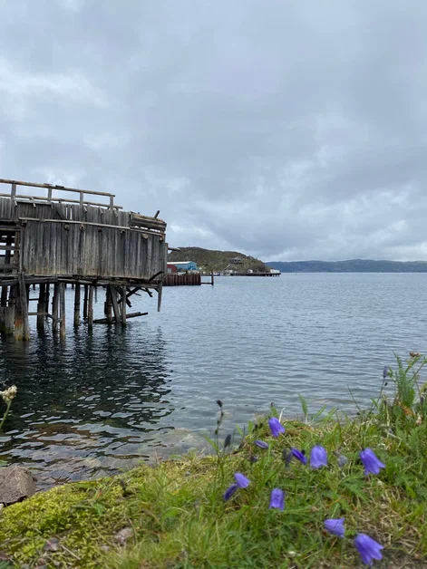 В погоне за китами (26/36)