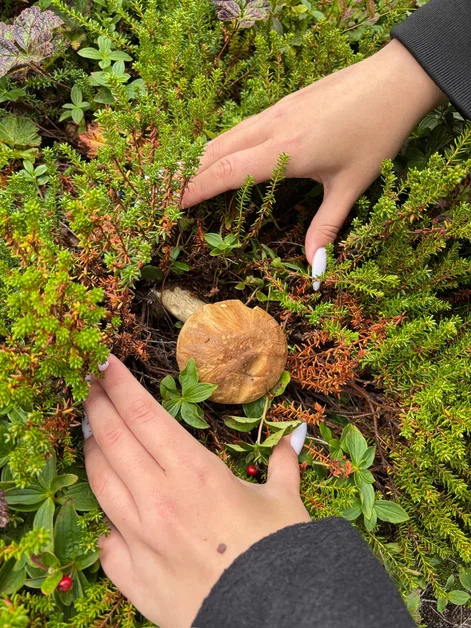 В погоне за китами (11/36)