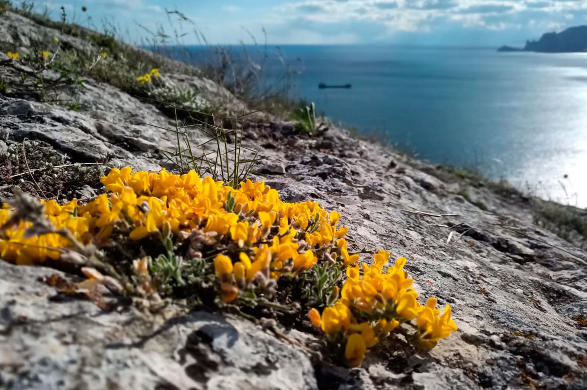 Активный тур в Крым. Горные просторы Судака (51/85)