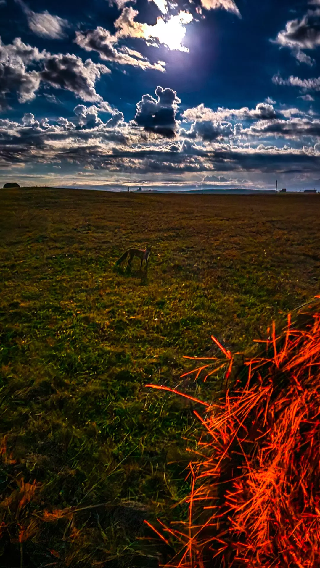 Краски Приэльбрусья (12/28)