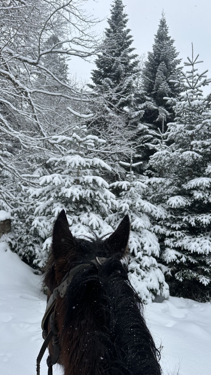 Конный тур в мини-группе Зимний Архыз (16/36)