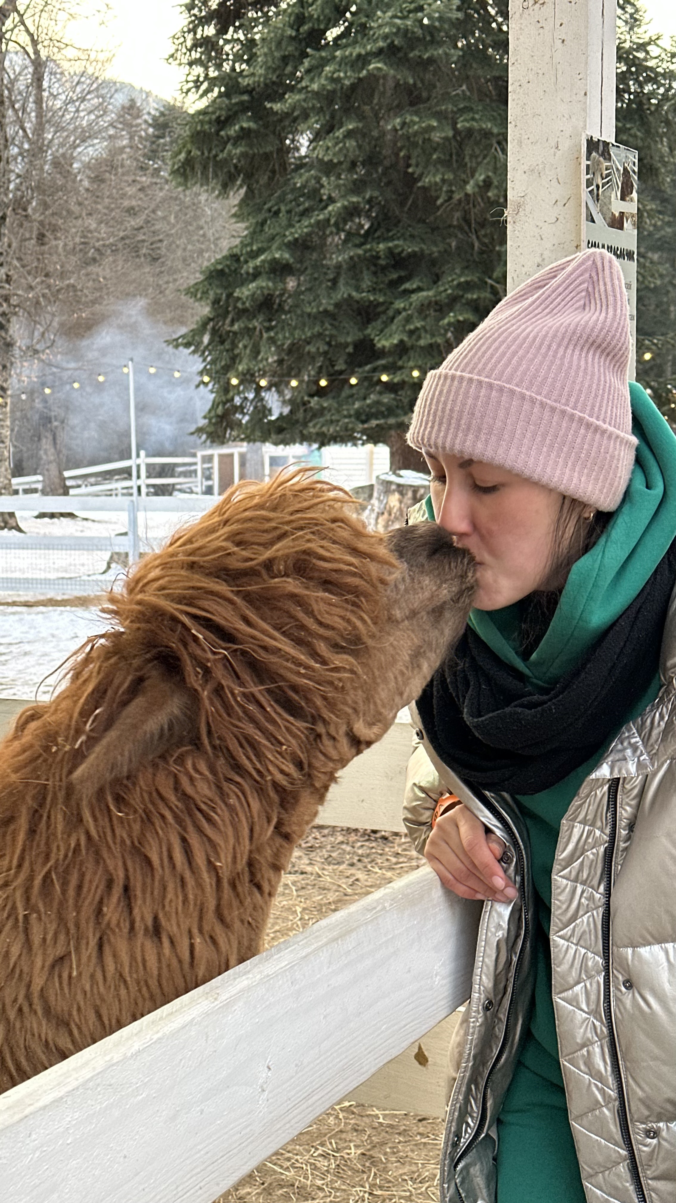 Конный тур в мини-группе Зимний Архыз (33/36)