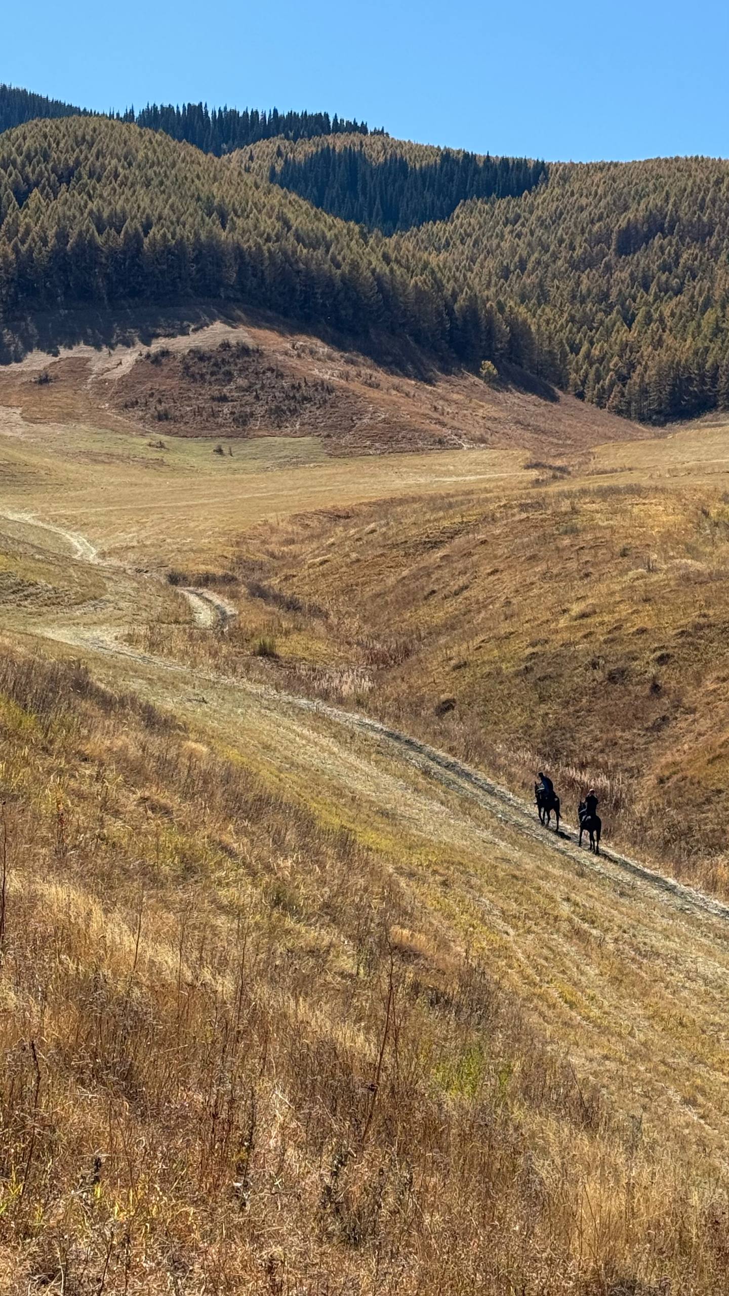 Первозданный Кыргызстан. Топ-10 мест. Все включено. (43/125)