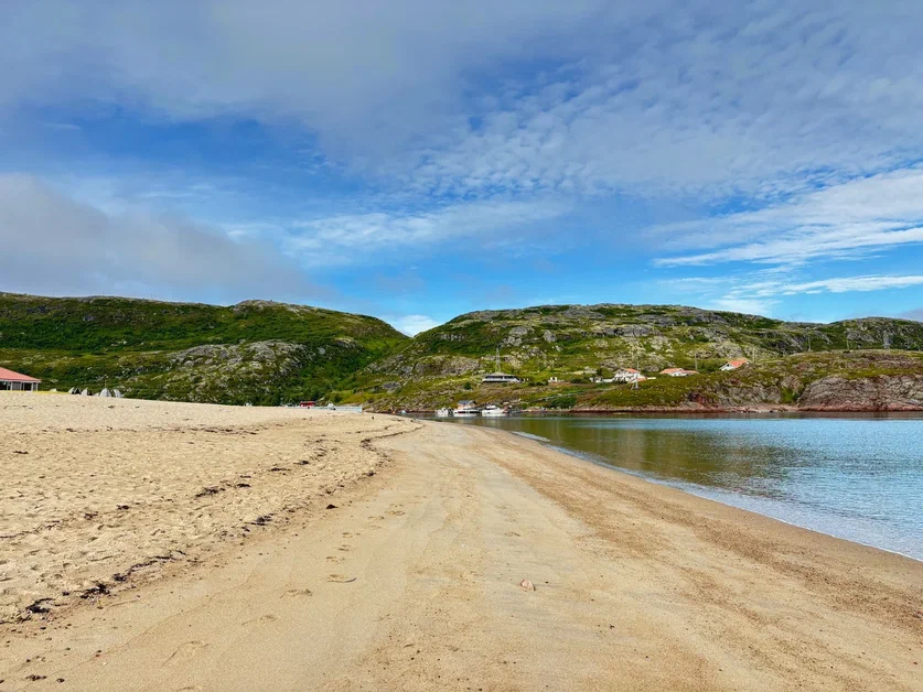 В погоне за китами (3/36)