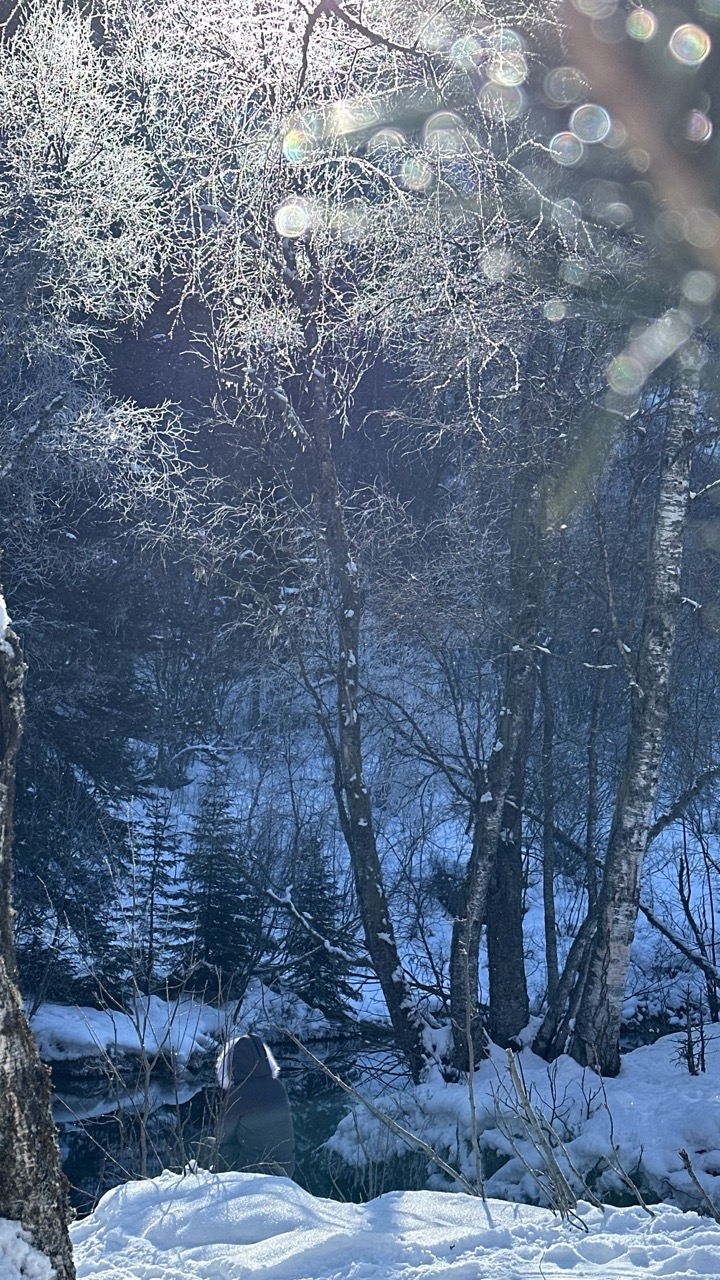 Конный тур в мини-группе Зимний Архыз (15/36)