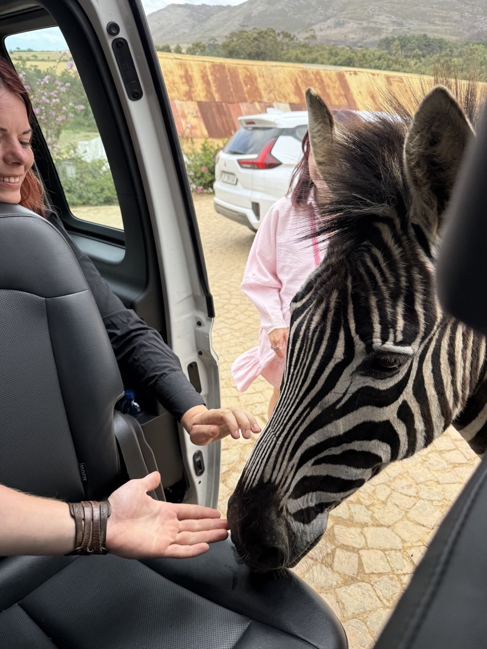 Кейптаун - здесь начинается Африка (5/37)