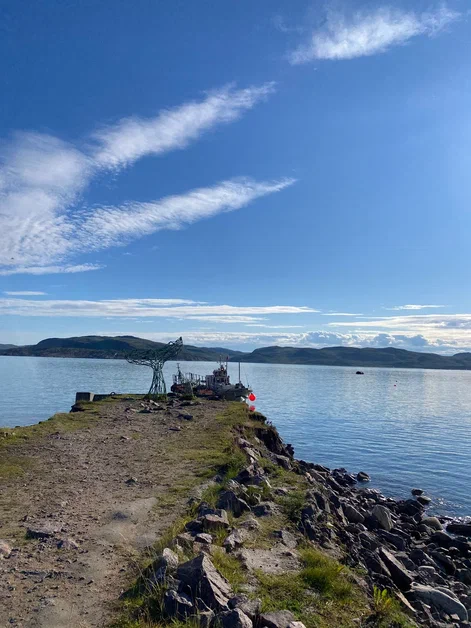 В погоне за китами (17/36)