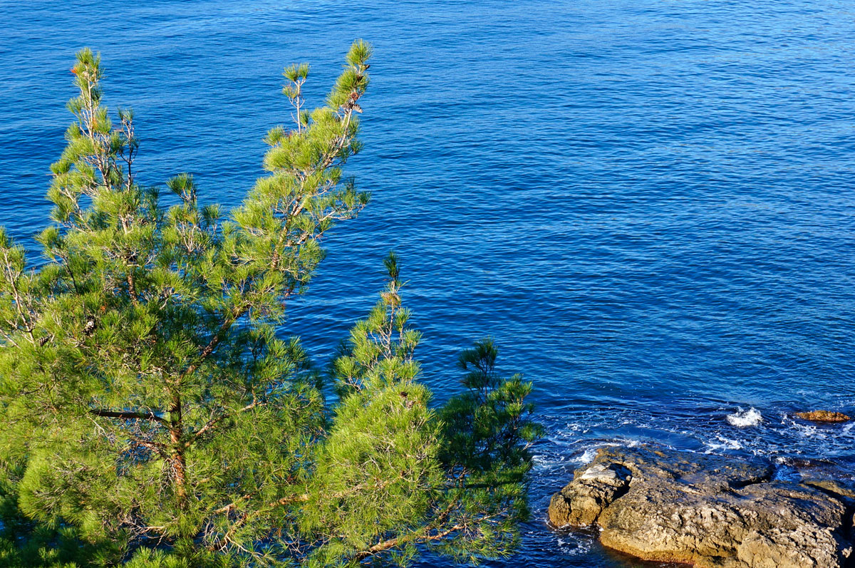 Активный тур в Крым. Горные просторы Судака (52/85)