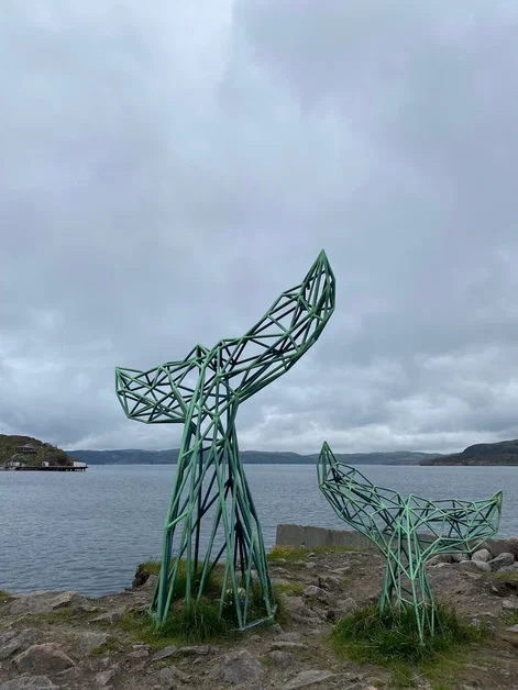 В погоне за китами (25/36)